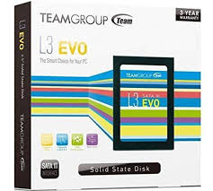 Disco duro Sólido Teamgroup Ultra L3 Evo 120 GB T253LE240GTC101