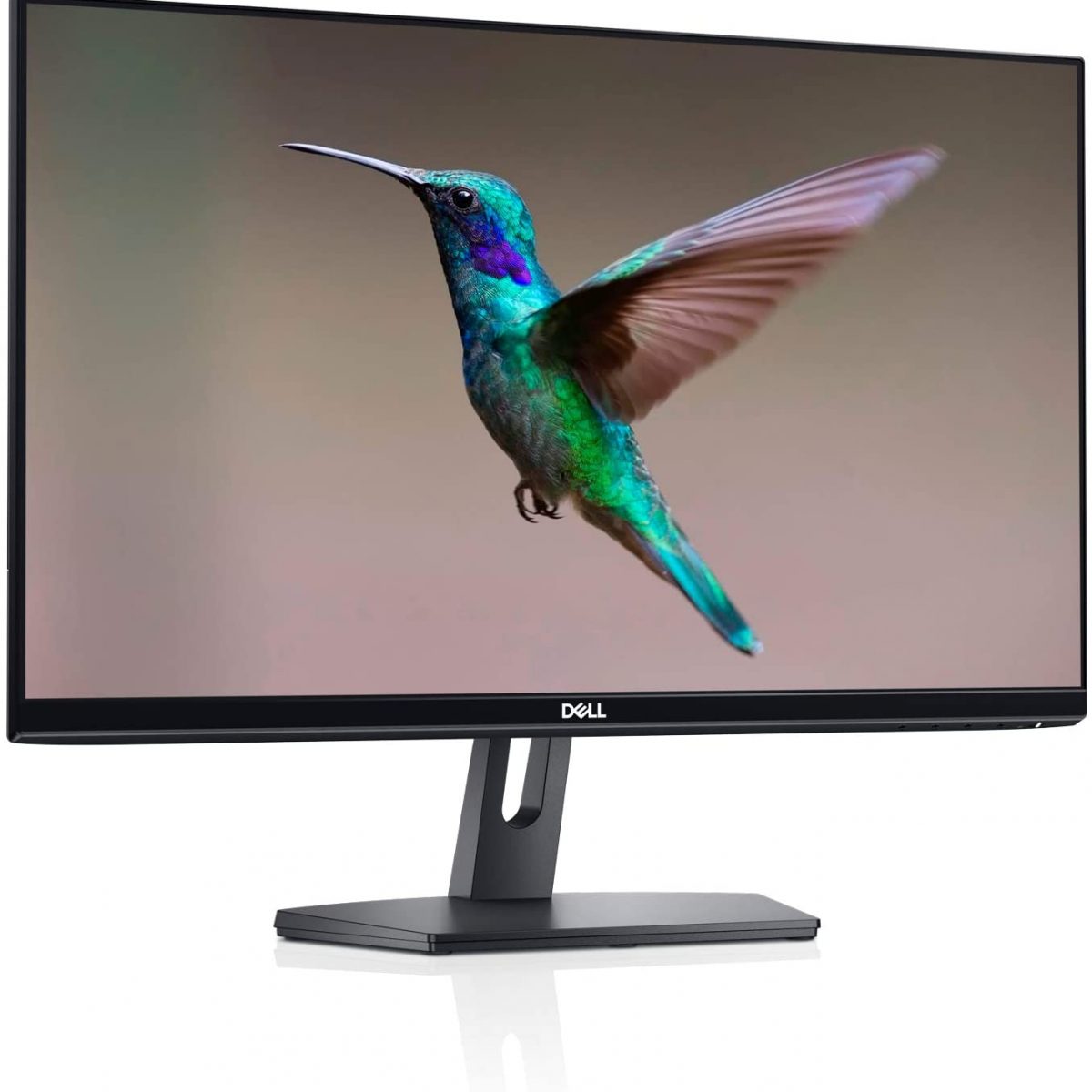 MONITOR DELL 24 LED 1920x1080 FULL HD HDMI-VGA SE2419HR