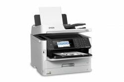 EPSON_C11CG04301_ICECAT_38476304