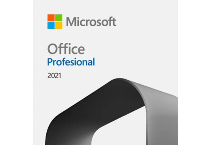 Microsoft Office Professional 2021 269-17194