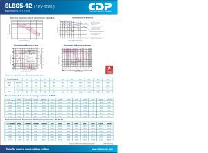 CDP Bateria 12 Volt. 65Ah (UPS) SLB65-12